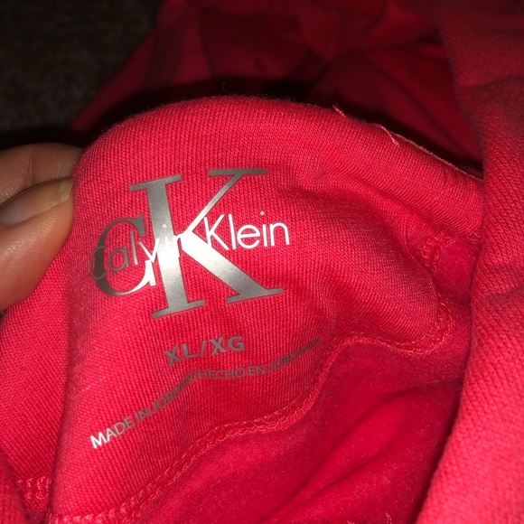Calvin Klein Hoodie Pullovers - Picture 4 of 8
